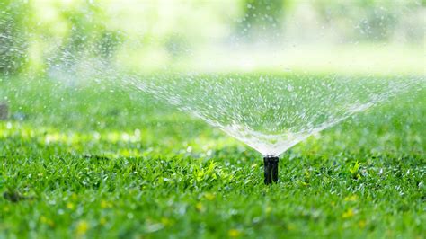 The Best Sprinkler Heads Of Best Garden Tips