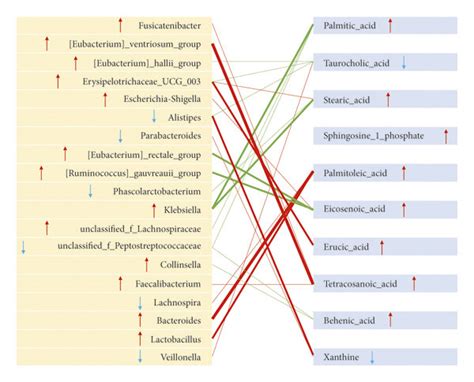 Correlation Analysis Among Gut Microbiota Fecal Metabolites And Serum