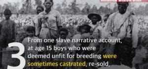 Buck Breaking Effimization Of The Black Man Sex Farms