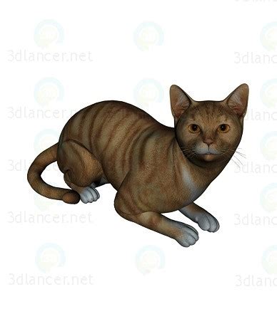 3d model Barsik the cat 2 | 10839 | 3dlancer.net