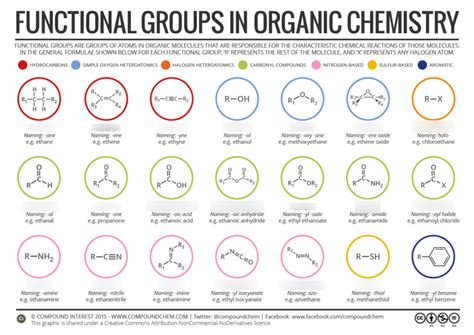 Functional Groups 1 Diagram Quizlet