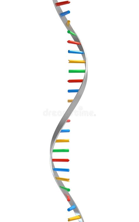 Rna Molecules Stock Illustrations 1 031 Rna Molecules Stock