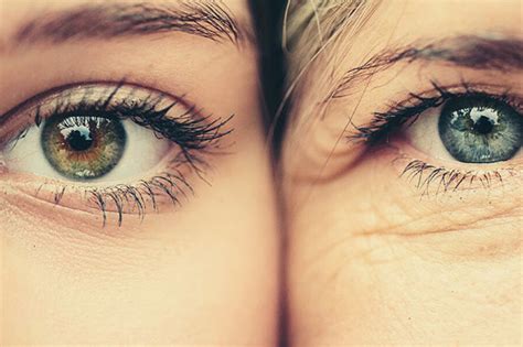 Skin Ageing Chronoaging And Photoaging