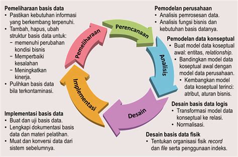 Siklus Hidup Manusia