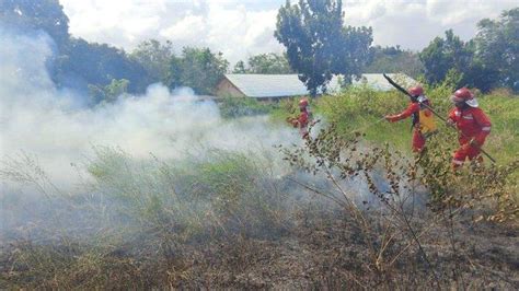 Kebakaran Lahan Di Tanahlaut Satu Jam Personel Manggala Agni Padamkan