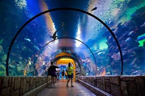 10 Largest Aquariums In The World Aquadecor