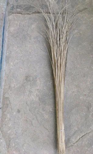 HDPE 60 Inch Brown Coconut Brooms At Rs 50 Piece In Kanpur ID