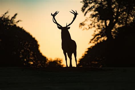 Jachtseizoen 2024 2025 Alle Info Om Veilig Te Gaan Wandelen In De Herfst