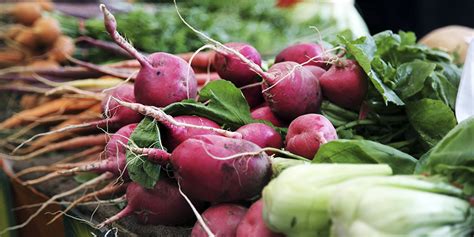 The Organic Baskets are here! | Santropol Roulant