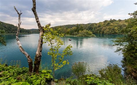 Wallpaper Id Water True Colors Plitvice Green Color