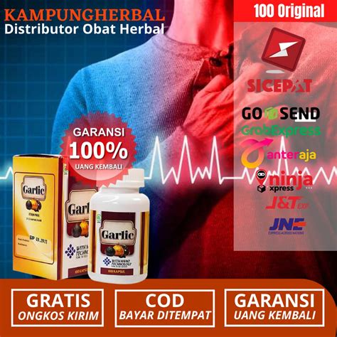 Jual Obat Herbal Aritmia Obat Gangguan Irama Jantung Irama Jantung