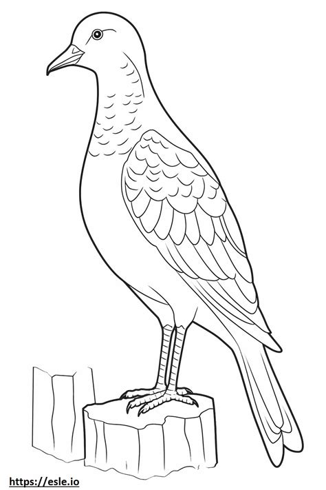 Northern Flicker Full Body Coloring Page