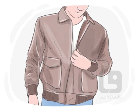 Definition & Meaning of "Bomber jacket" | Picture Dictionary