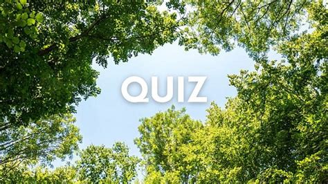 Quiz Majowy Quiz Wiedzy Og Lnej Wi Kszo Wyk Ada Si Na Pytaniu