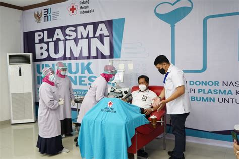 Kementerian Bumn Luncurkan Program Plasma Bumn Untuk Indonesia