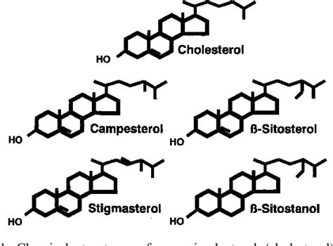 Figure 1 From Plant Sterol And Stanols Comparison And Contrasts Sterols Versus Stanols In