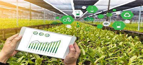 IOT In HYDROPONIC System Ssf Agtech