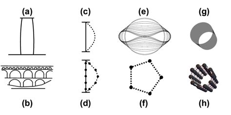 (a) Entasis in Greek columns (exaggerated). (b) Schematic of the Pont ...