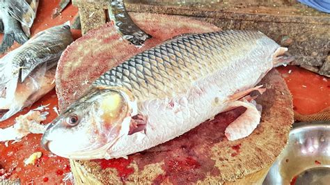 Amazing Rohu Fish Cutting Skills Big Rohu Fish Skinning Chopping