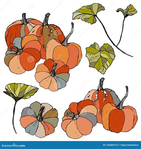 Vector Set With Gourds And Leaves Hand Painted Red Blue Orange And