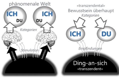 DUE VL 11 Kognition Als Werkzeug Des Erkennens Karteikarten Quizlet