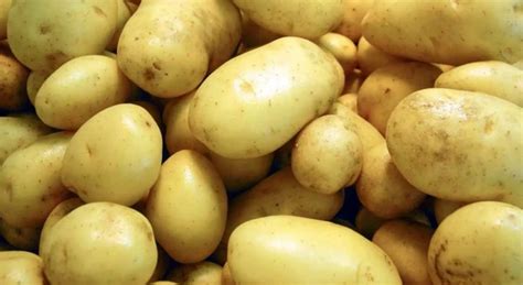 Annunciato L Aumento Del Prezzo Delle Patate Instoremag