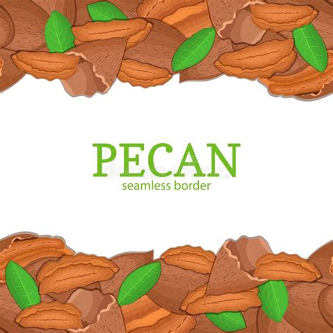 Peanut Nut Horizontal Seamless Border Vector Illustration Card Top And