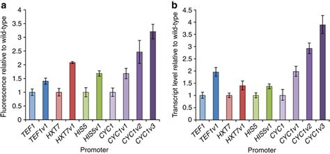 Redesign Of Native Yeast Promoters For Increased Expression By