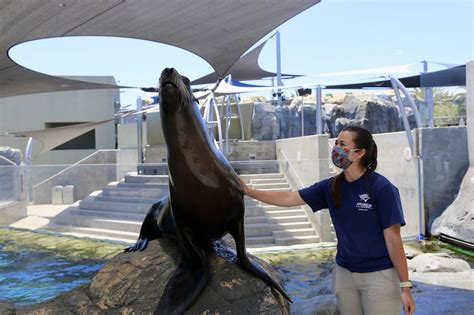 Aquarium of the Pacific Timed Tickets