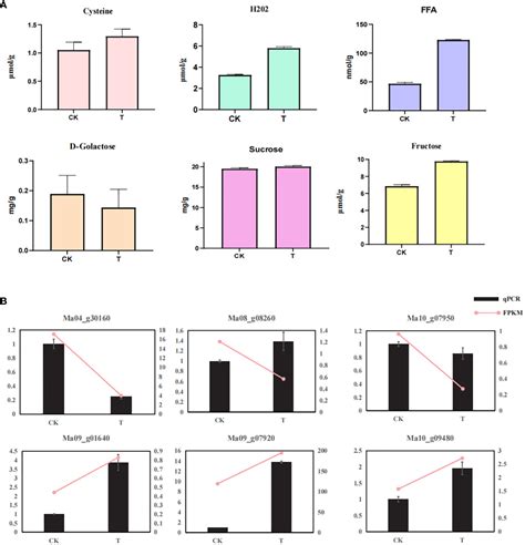 Frontiers Transcriptome Analysis Provides Insight Into The Regulatory