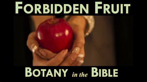 Botany In The Bible Forbidden Fruit Youtube