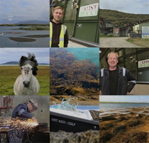 Uist Asco Scottish Seaweed Company Ascophyllum Nodosum