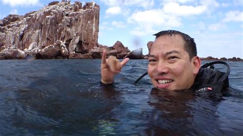 Surfacing From A Dive At La Pazs Sea Lion Colony Youtube