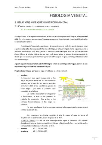 Fiv Apuntes Parcial Pdf