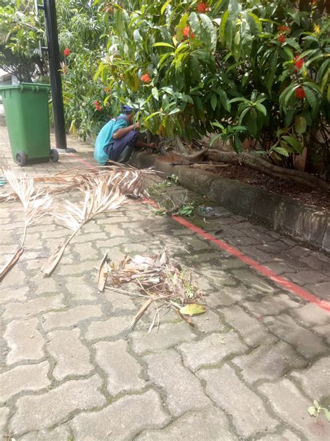 Jual Perawatan Taman Membersihkan Sampah Daun Di Asuransi Bintang