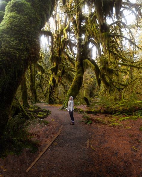 How To Visit Olympic National Park In One Weekend