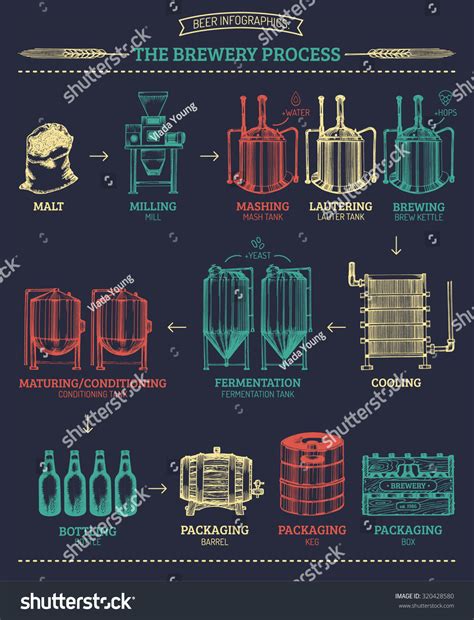 Vector Beer Infographics Illustrations Brewery Process Stock Vector