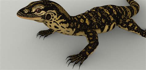 Monitor Varanus Lizard 3d Model