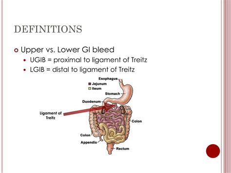 Ppt Gi Bleeding Powerpoint Presentation Free Download Id6042929