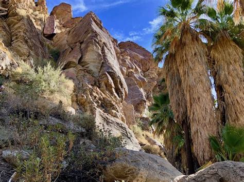 25 Fun Things To Do In Palm Springs Palm Springs Fun Things To Do