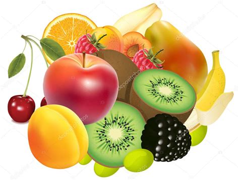 Variety Of Exotic Fruits Stock Vector Image By Mtr980 9192625