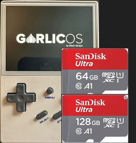 Anbernic RG35XX Custom Setup Garlicos Dual Upgraded Sandisk Ultra 64GB