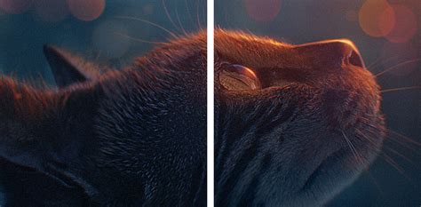 acquaintance behance