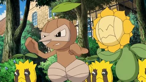 Can Sunkern Be Shiny In Pokemon Go