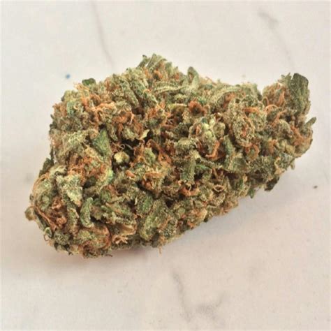 Amnesia Haze Weed Strain Information Leafly