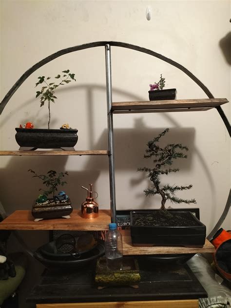 Bonsai stand for my 4 bonsais 😁 : r/bonsaiphotos
