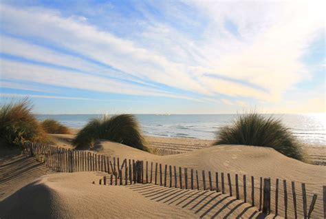 Les Plages Magnifiques De Camargue Mas Saint Sauveur