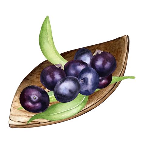 Premium Vector Composition Of Acai Berries On Wooden Plate Watercolor