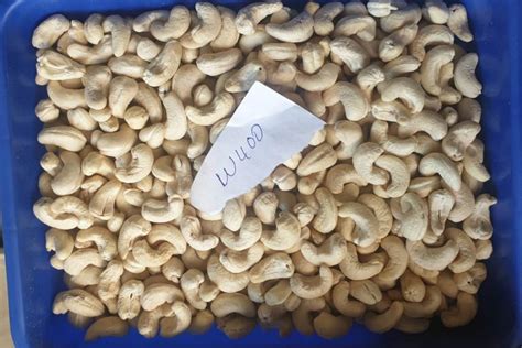 Raw Natural W Grade Cashew Nuts Packaging Size Loose At Rs Kg