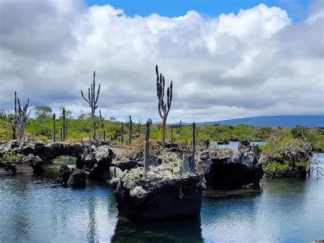 Los Tuneles Cabo Rosa Agora Tours Isabela